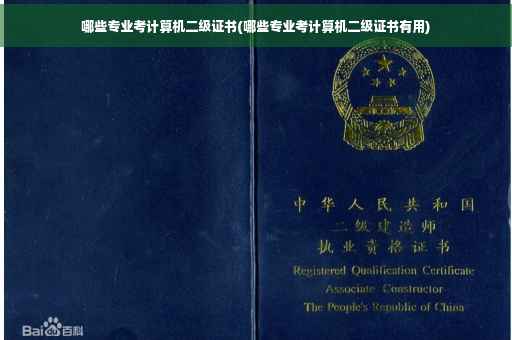 哪些专业考计算机二级证书(哪些专业考计算机二级证书有用)