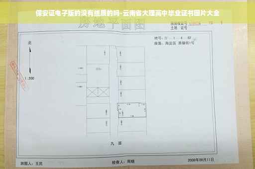 保安证电子版的没有纸质的吗-云南省大理高中毕业证书图片大全