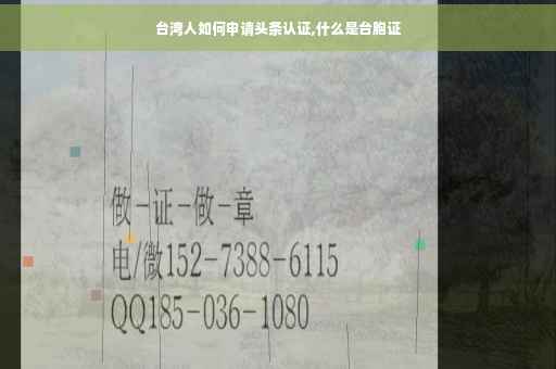 台湾人如何申请头条认证,什么是台胞证