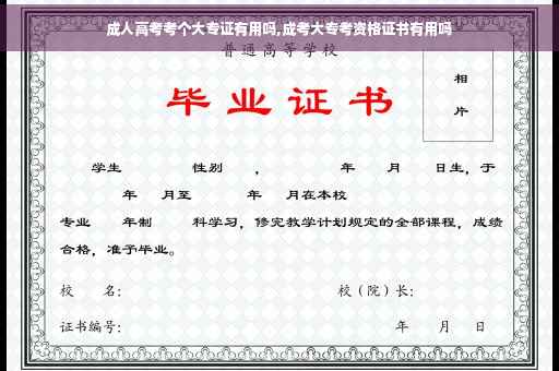 成人高考考个大专证有用吗,成考大专考资格证书有用吗