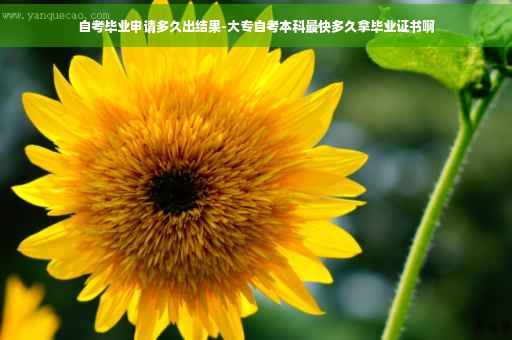 自考毕业申请多久出结果-大专自考本科最快多久拿毕业证书啊
