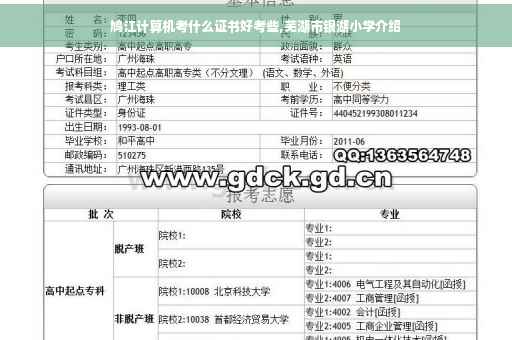 鸠江计算机考什么证书好考些,芜湖市银湖小学介绍