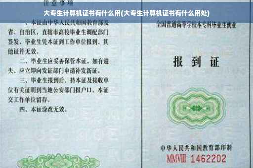 大专生计算机证书有什么用(大专生计算机证书有什么用处)