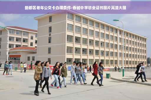 新都区老年公交卡办理条件-香城中学毕业证书图片高清大图