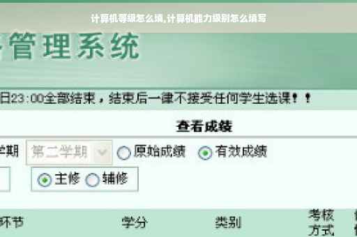 计算机等级怎么填,计算机能力级别怎么填写