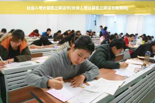 社会人考计算机三级证书(社会人考计算机三级证书有用吗)