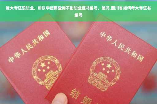 我大专还没毕业，所以学信网查询不到毕业证书编号，是吗,四川省如何考大专证书编号