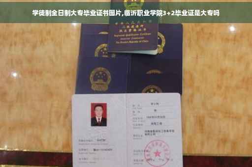 学徒制全日制大专毕业证书图片,临沂职业学院3+2毕业证是大专吗