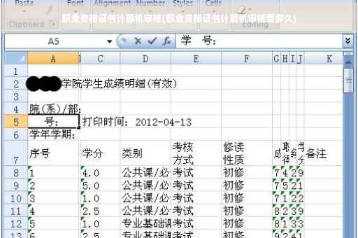职业资格证书计算机审核(职业资格证书计算机审核要多久)