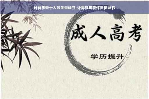 计算机类十大含金量证书-计算机与软件资格证书