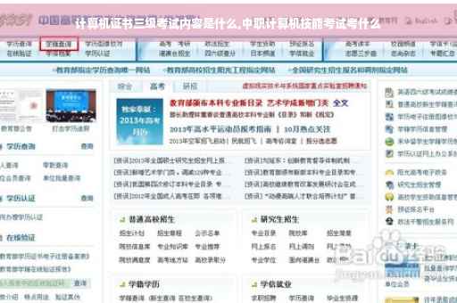 计算机证书三级考试内容是什么,中职计算机技能考试考什么