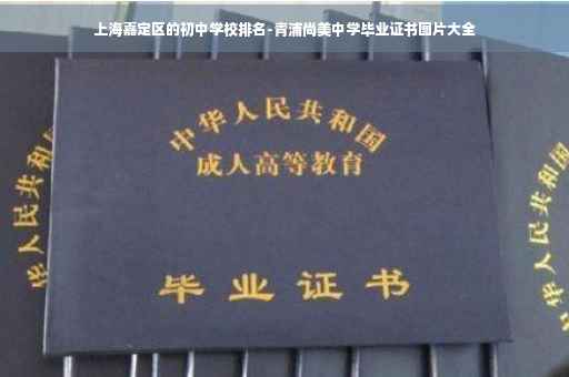 上海嘉定区的初中学校排名-青浦尚美中学毕业证书图片大全