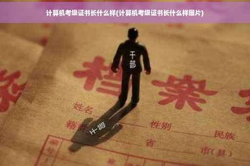 计算机考级证书长什么样(计算机考级证书长什么样图片)