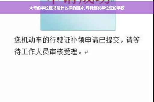 大专的学位证书是什么样的图片,专科颁发学位证的学校