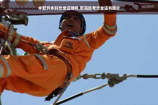 中职升本科毕业证啥样,职高统考毕业证书图片