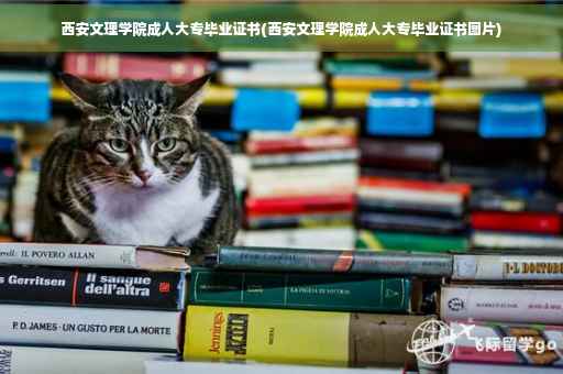 西安文理学院成人大专毕业证书(西安文理学院成人大专毕业证书图片)