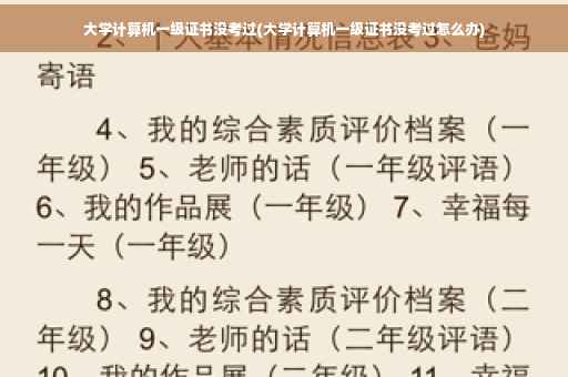 大学计算机一级证书没考过(大学计算机一级证书没考过怎么办)