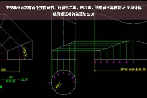 学校毕业要求有两个技能证书，计算机二级，四六级，到底算不算技能证-全国计算机等级证书的英语怎么说