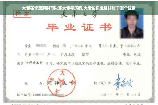 大专在读应聘时可以写大专学历吗,大专的职业资格属于哪个级别