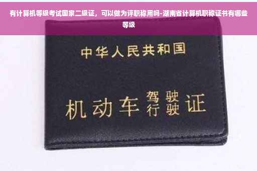 有计算机等级考试国家二级证，可以做为评职称用吗-湖南省计算机职称证书有哪些等级