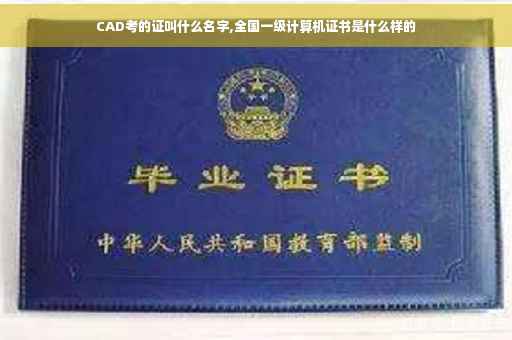 CAD考的证叫什么名字,全国一级计算机证书是什么样的