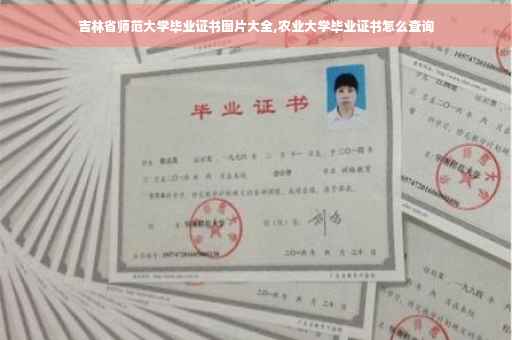 吉林省师范大学毕业证书图片大全,农业大学毕业证书怎么查询