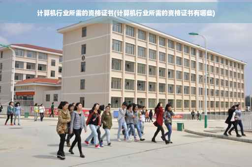 计算机行业所需的资格证书(计算机行业所需的资格证书有哪些)