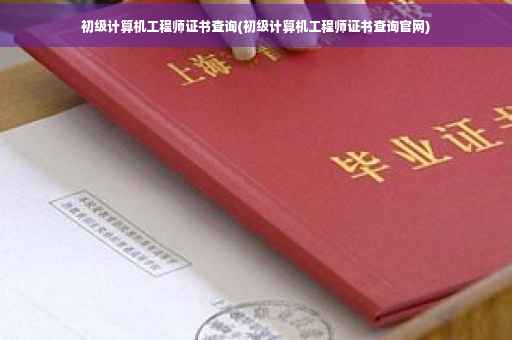 初级计算机工程师证书查询(初级计算机工程师证书查询官网)