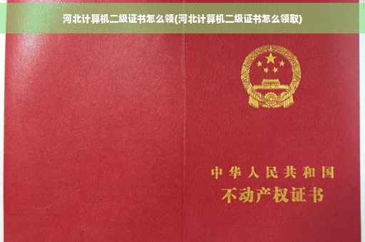 河北计算机二级证书怎么领(河北计算机二级证书怎么领取)