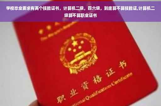 学校毕业要求有两个技能证书，计算机二级，四六级，到底算不算技能证,计算机二级算不算职业证书