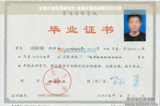 中职计算机等级划分,全国计算机高新证书三级