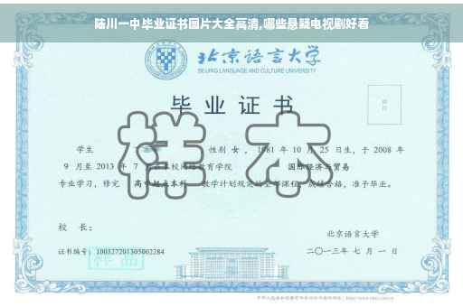 陆川一中毕业证书图片大全高清,哪些悬疑电视剧好看