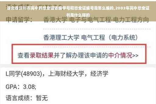 湖北省汉川市高中的毕业证省编学号和毕业证编号是怎么编的,2003年高中毕业证书是什么样的