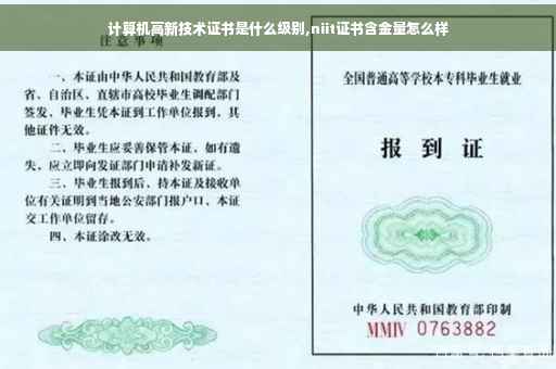 计算机高新技术证书是什么级别,niit证书含金量怎么样