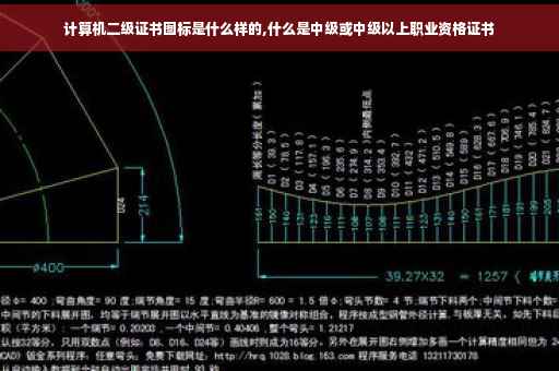 计算机二级证书图标是什么样的,什么是中级或中级以上职业资格证书