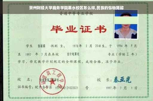 贵州财经大学商务学院惠水校区怎么样,民族的饰物简称