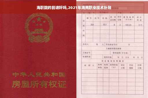 海职院的前途好吗,2021年海南职业技术补贴