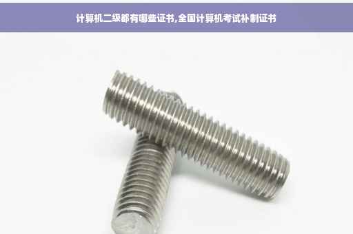 计算机二级都有哪些证书,全国计算机考试补制证书