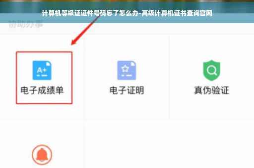 计算机等级证证件号码忘了怎么办-高级计算机证书查询官网