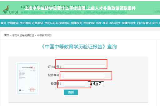 上虞中学生转学需要什么手续流程,上虞人才补助政策领取条件