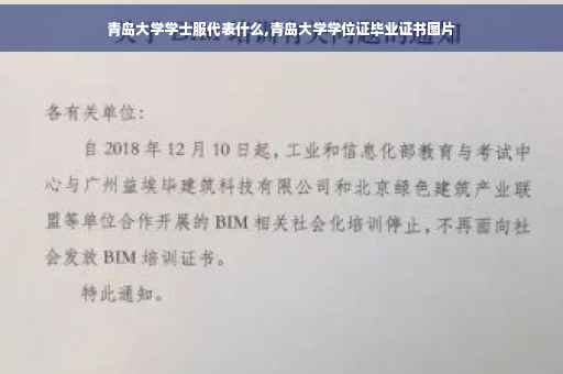 青岛大学学士服代表什么,青岛大学学位证毕业证书图片