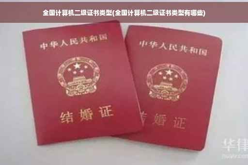 全国计算机二级证书类型(全国计算机二级证书类型有哪些)