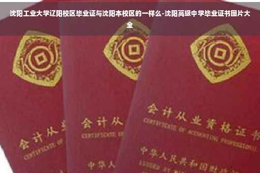沈阳工业大学辽阳校区毕业证与沈阳本校区的一样么-沈阳高级中学毕业证书图片大全