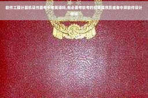 软件工程计算机证书要考不考英语吗,有必要考软考的初级程序员或者中级软件设计师吗