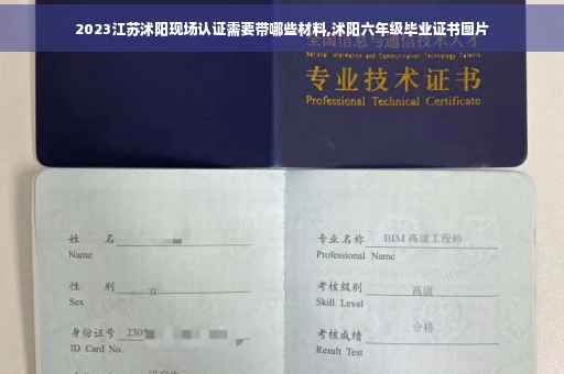 2023江苏沭阳现场认证需要带哪些材料,沭阳六年级毕业证书图片