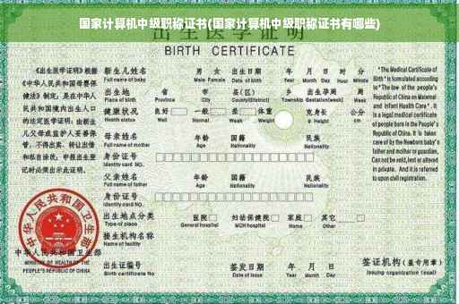 国家计算机中级职称证书(国家计算机中级职称证书有哪些)
