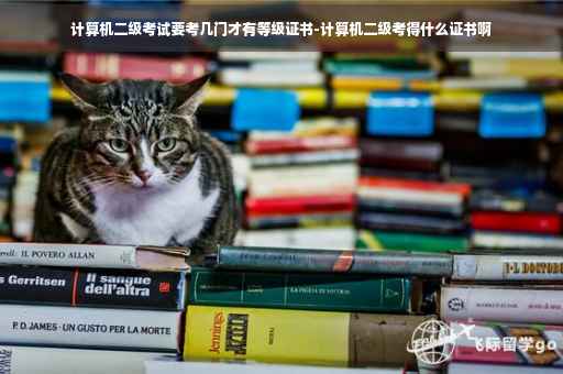计算机二级考试要考几门才有等级证书-计算机二级考得什么证书啊