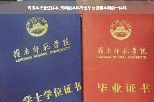 专接本毕业证样本,专科的本科专业毕业证和本科的一样吗