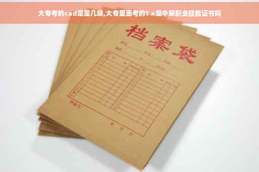 大专考的cad是是几级,大专里面考的1 x是中级职业技能证书吗