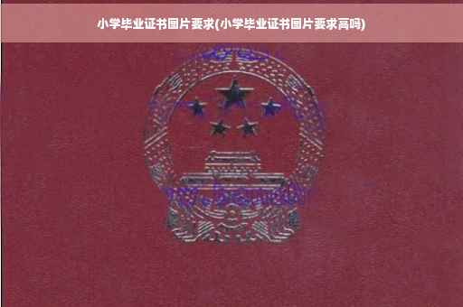 小学毕业证书图片要求(小学毕业证书图片要求高吗)